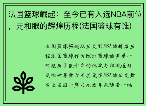 法国篮球崛起：至今已有入选NBA前位，元和眼的辉煌历程(法国篮球有谁)